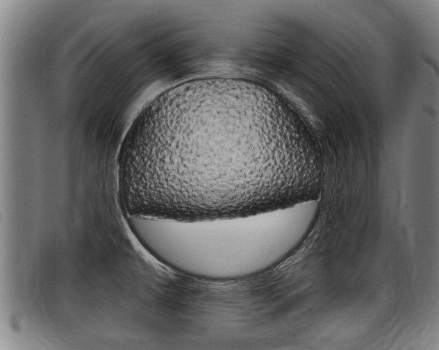 X0000098111479200804040750