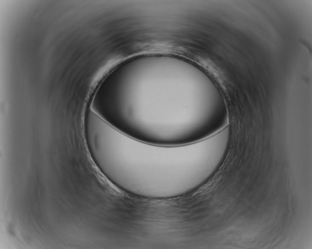 X0000098111480200804040750