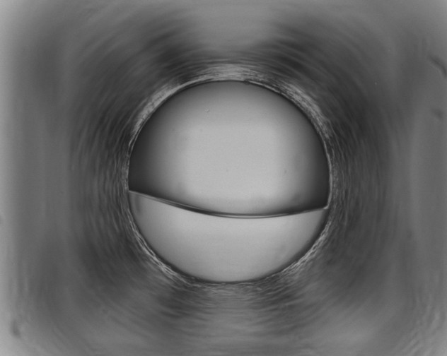 X0000098111481200804040750