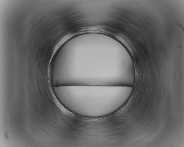 X0000098111482200804040750