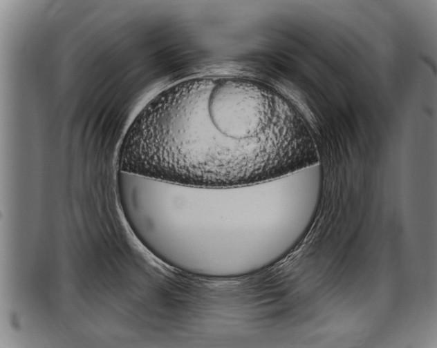 X0000098111483200804040750