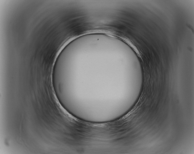 X0000098111484200804040750