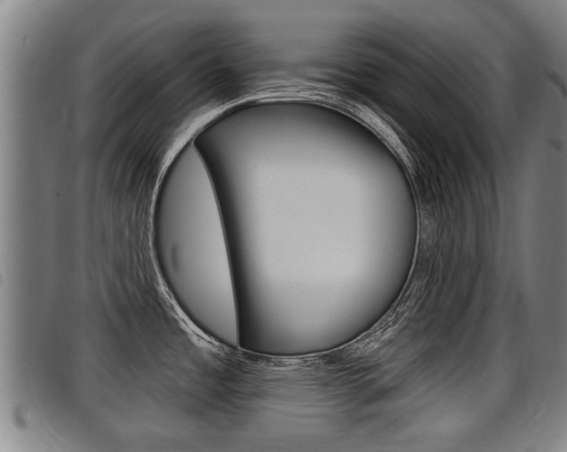X0000098111485200804040750