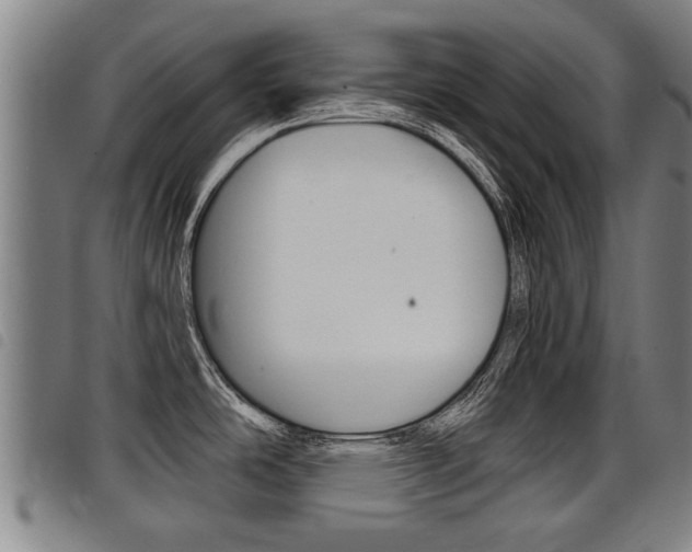 X0000098111486200804040750