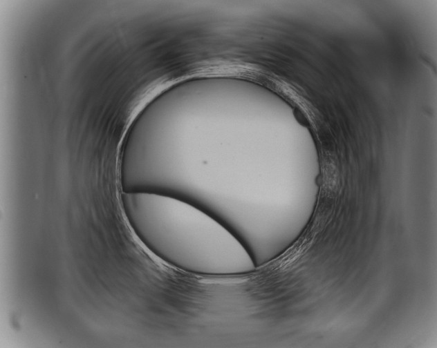 X0000098111487200804040750