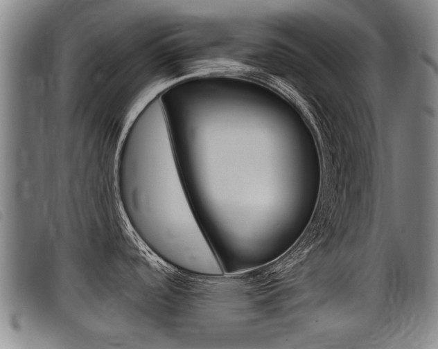 X0000098111488200804040750