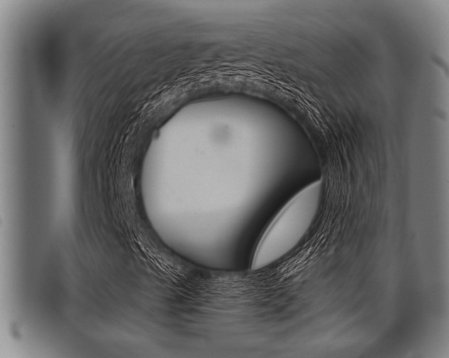 X0000098111489200804040749