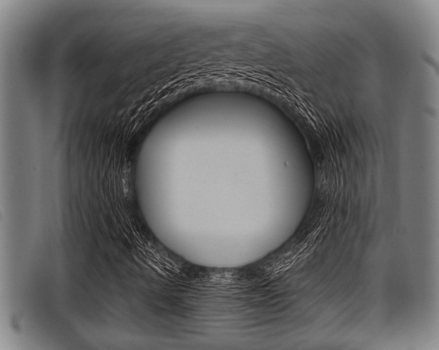 X0000098111490200804040749