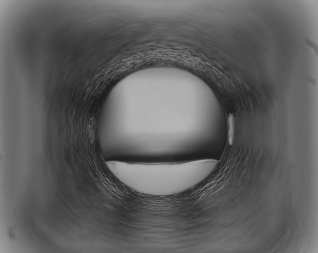 X0000098111491200804040749