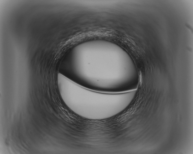 X0000098111492200804040749