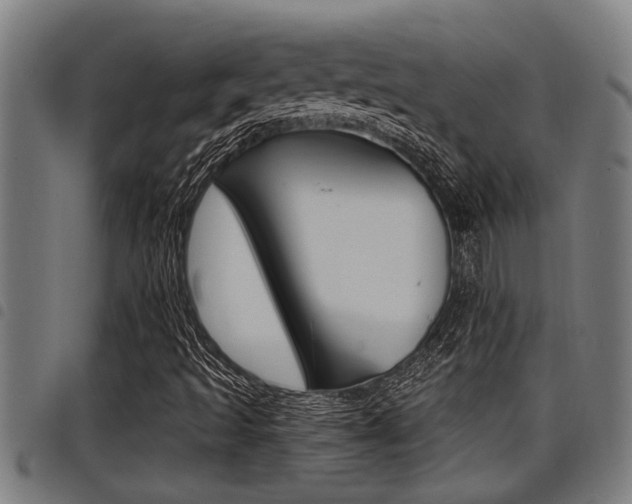 X0000098111493200804040749