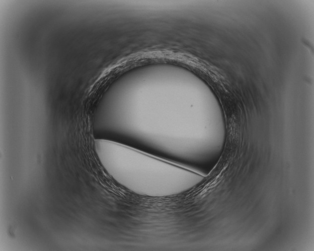 X0000098111494200804040749