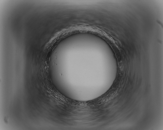 X0000098111495200804040749