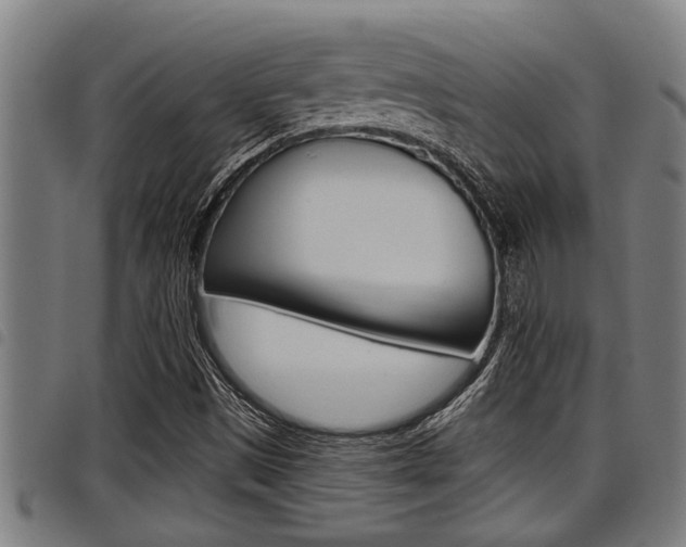 X0000098111497200804040749