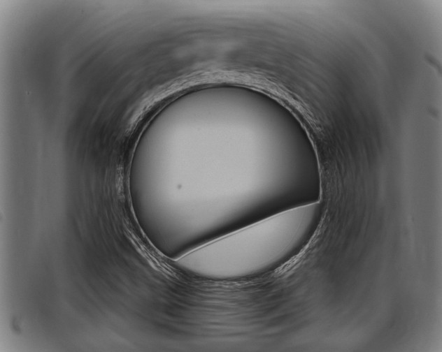 X0000098111499200804040749