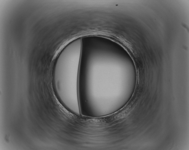 X0000098111500200804040749