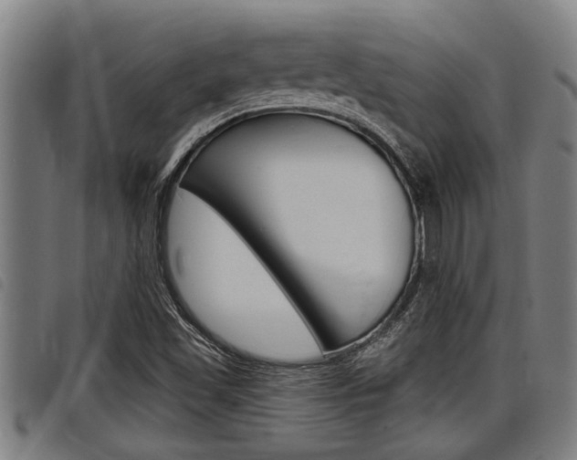 X0000098111501200804040749