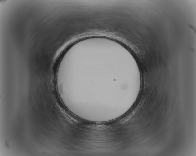 X0000098111502200804040749