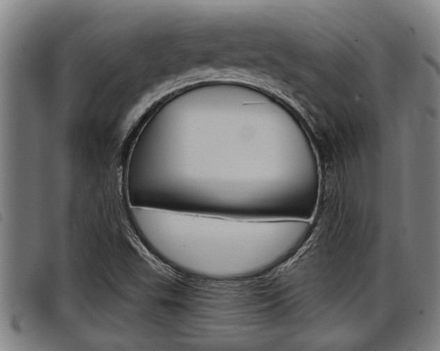 X0000098111503200804040749
