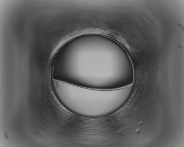 X0000098111504200804040749
