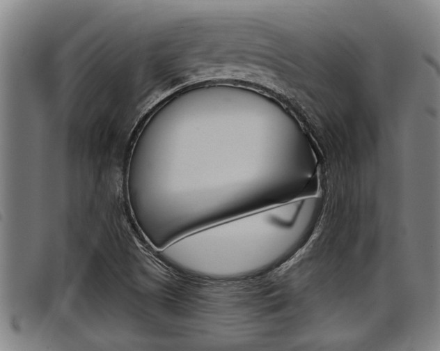 X0000098111505200804040749