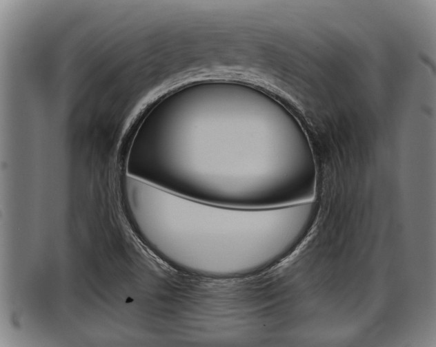 X0000098111506200804040750