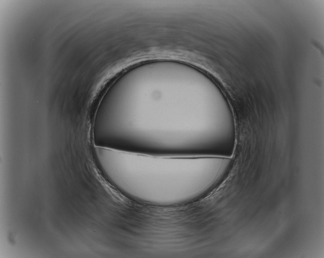 X0000098111507200804040750