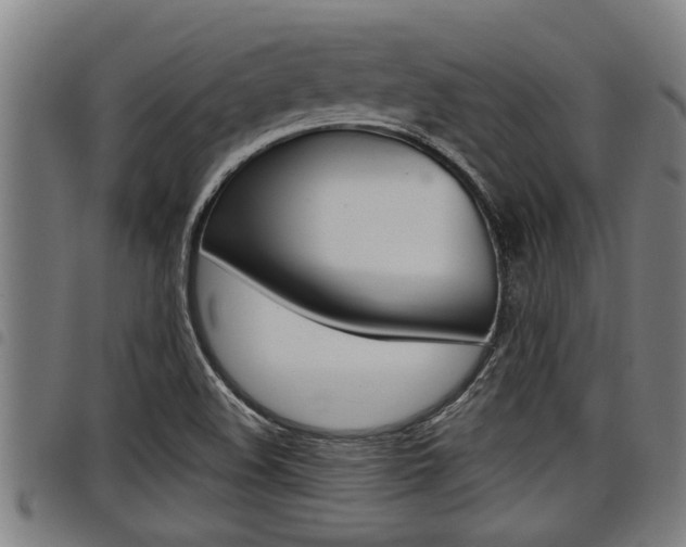 X0000098111508200804040750