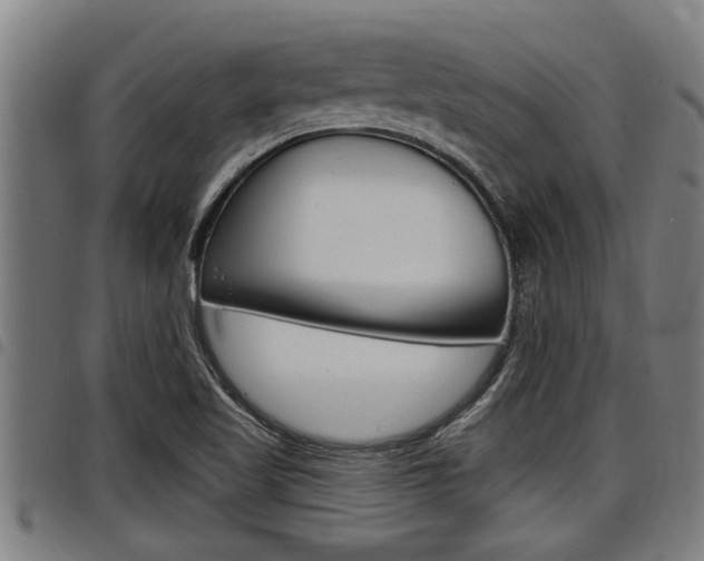 X0000098111509200804040750
