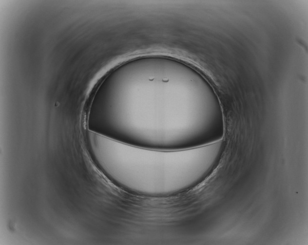 X0000098111510200804040750