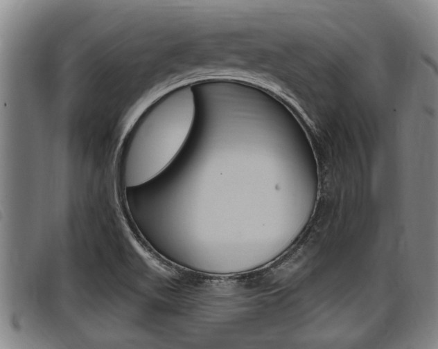 X0000098111511200804040750