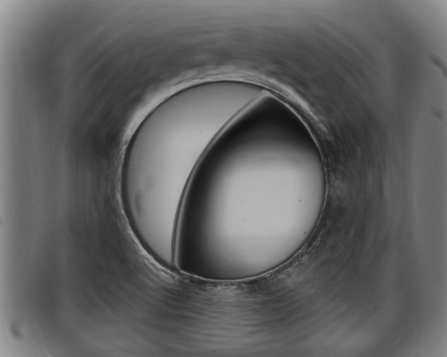 X0000098111512200804040750