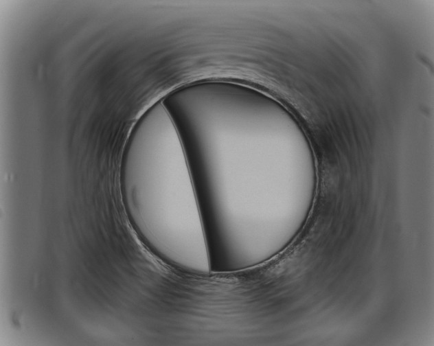 X0000098111513200804040750