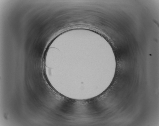 X0000098111514200804040750