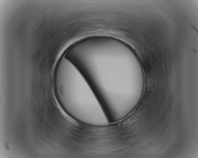 X0000098111515200804040750