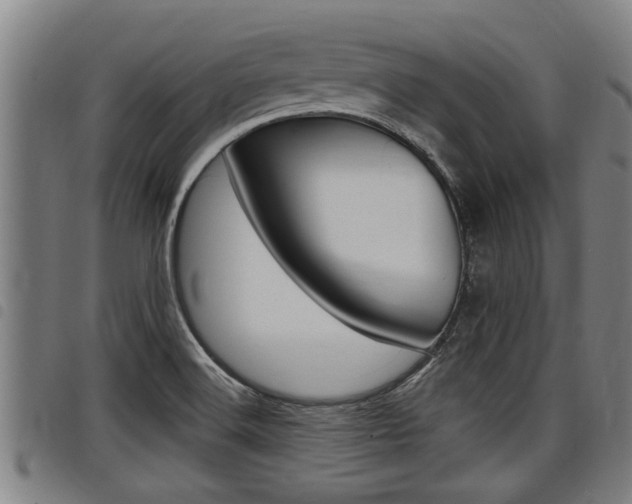 X0000098111516200804040750