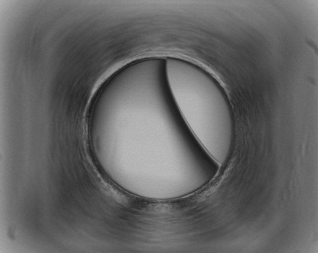 X0000098111517200804040750