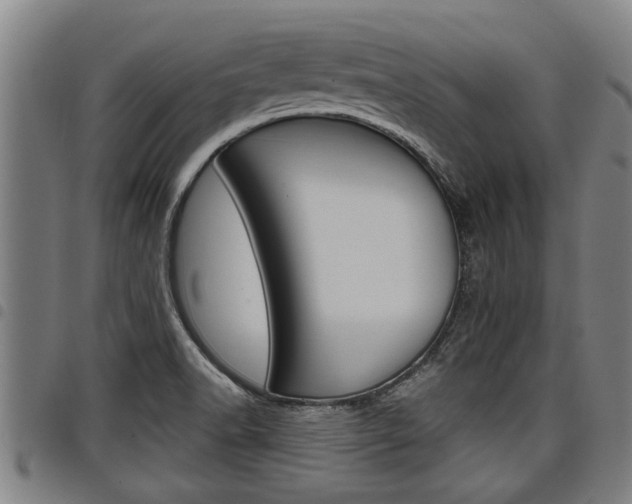 X0000098111518200804040750