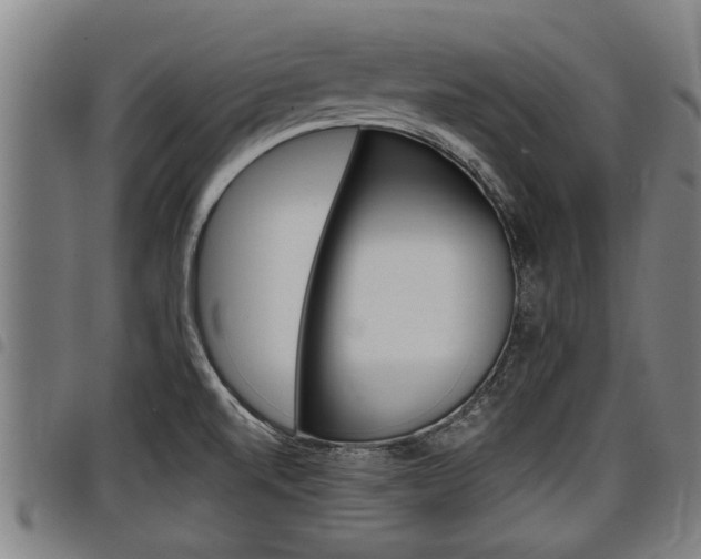 X0000098111520200804040750
