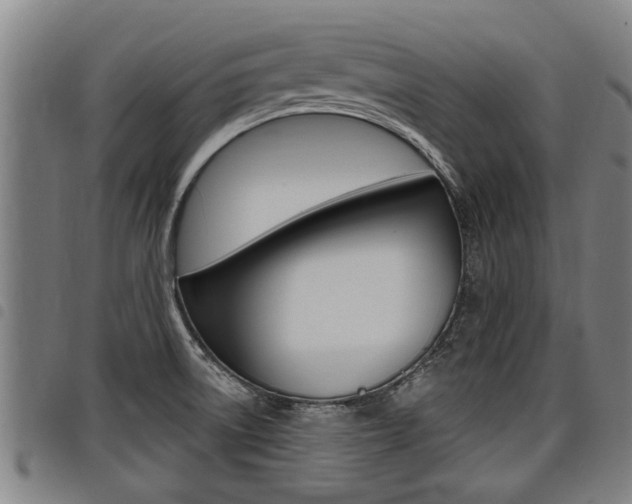 X0000098111522200804040750