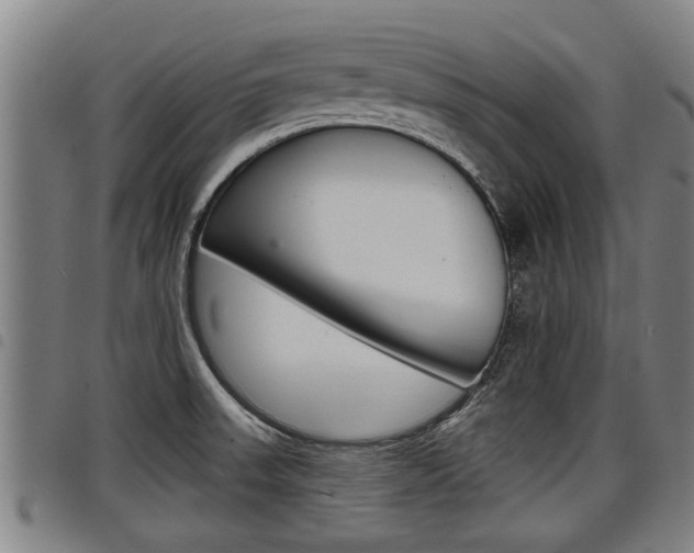 X0000098111523200804040750