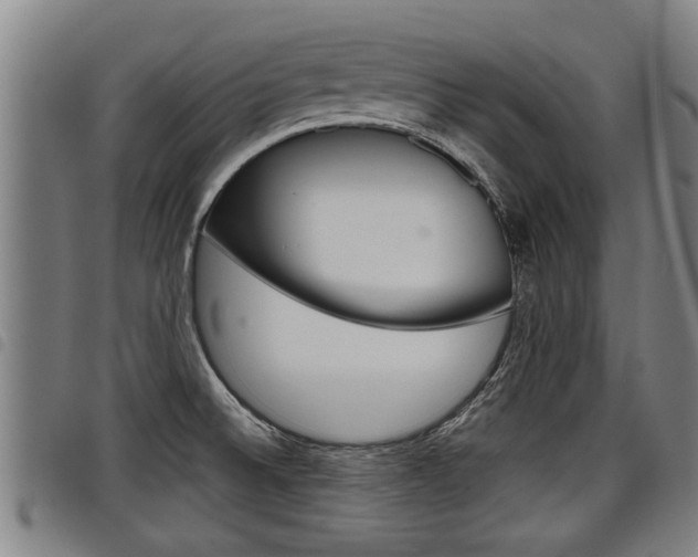 X0000098111524200804040750