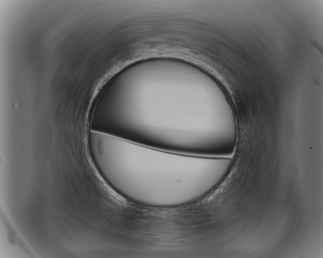 X0000098111525200804040750