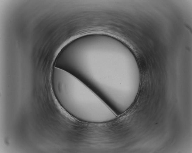 X0000098111526200804040750