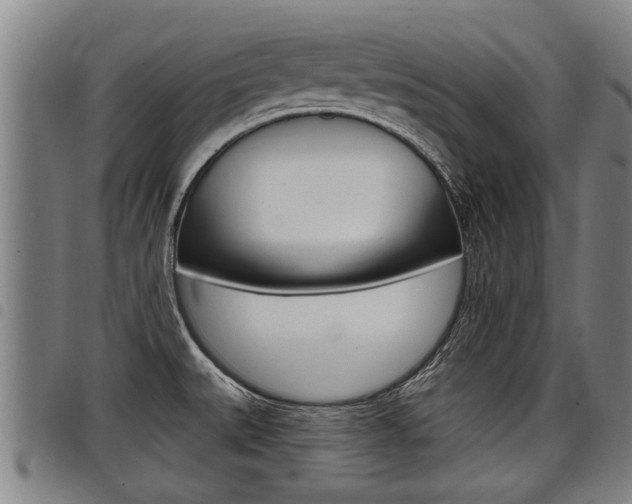 X0000098111527200804040750
