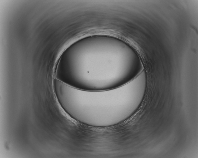 X0000098111528200804040750