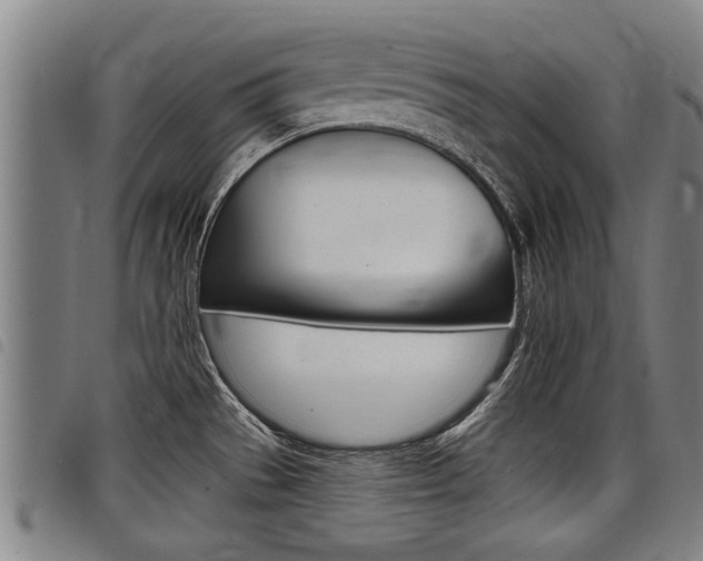 X0000098111529200804040750