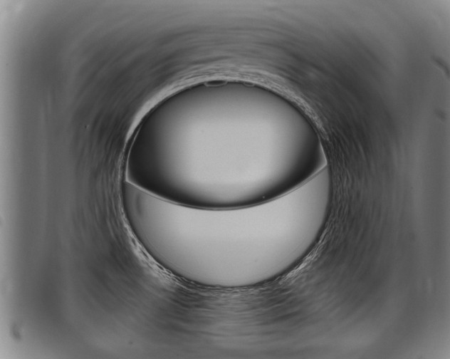 X0000098111530200804040750