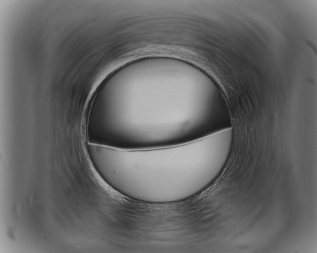 X0000098111531200804040750