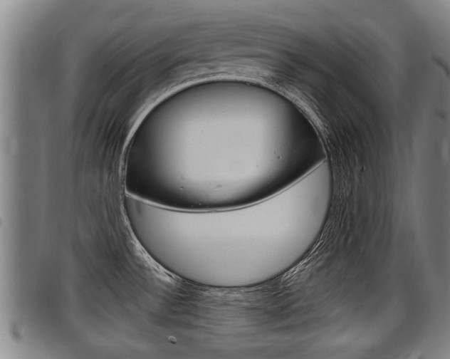 X0000098111532200804040750